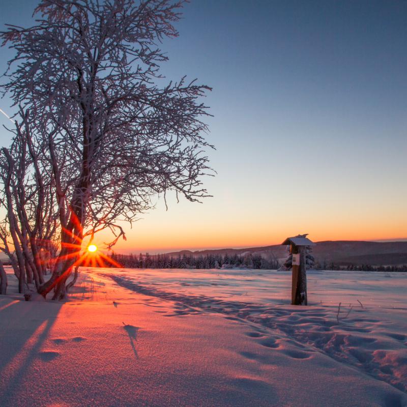 Sauerland im Winter, Sonnenaufgang